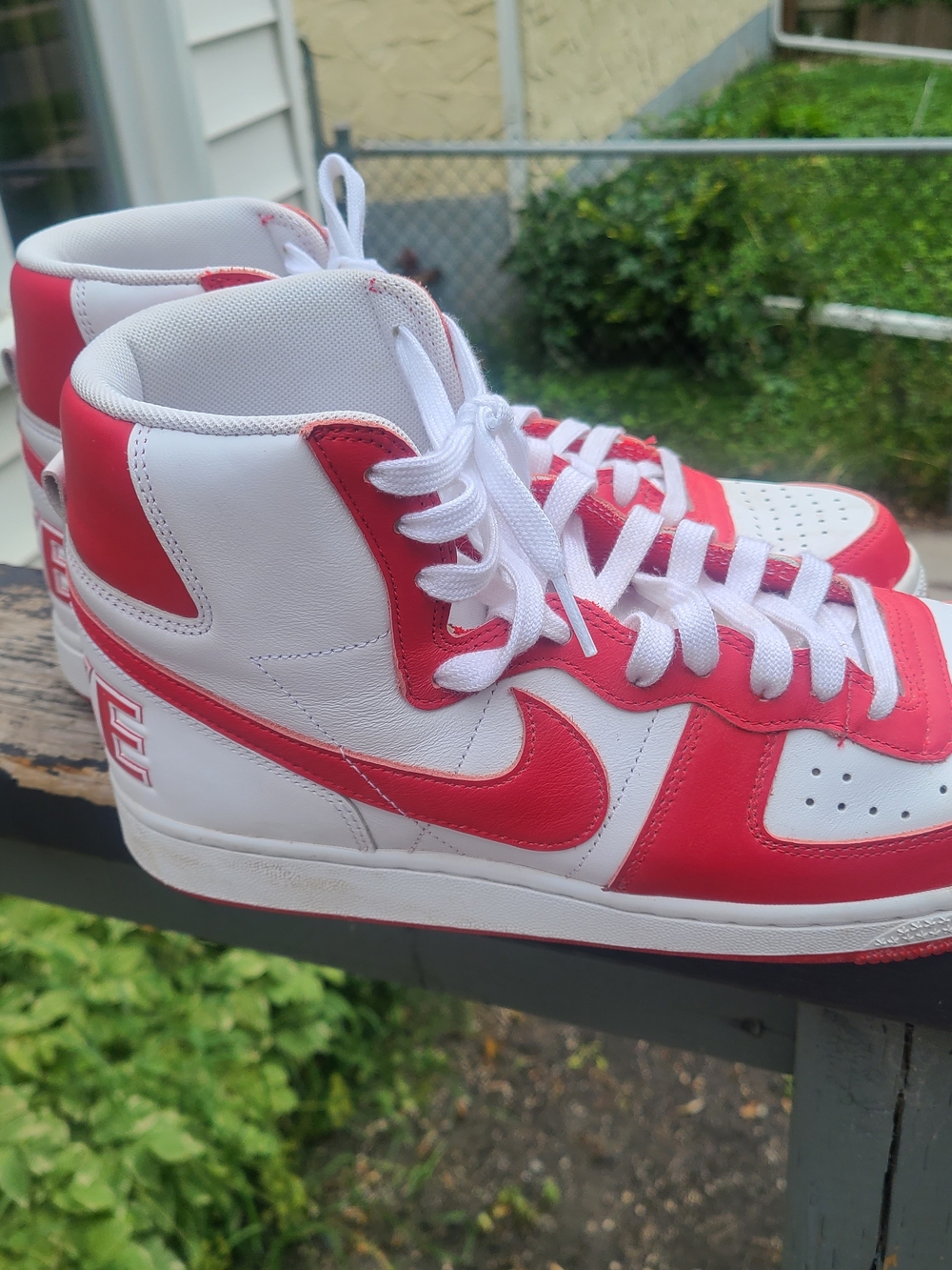 Nike Terminator High